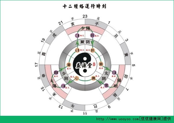 十二正经是什么意思？十二正经从哪里分左右?[多图]