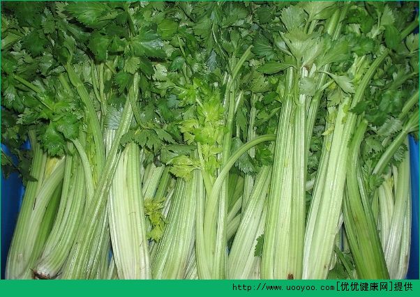 儿子不吃蔬菜怎么办？儿子不吃蔬菜的解决办法(1)