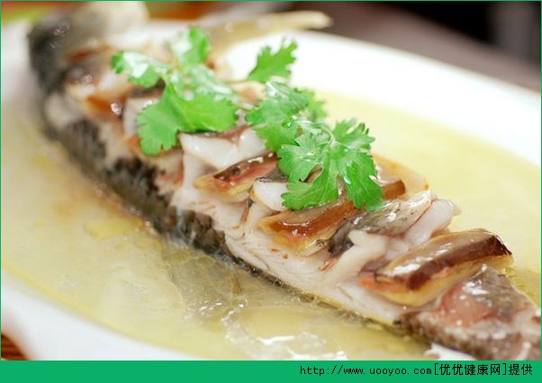 初中生吃什么既长身体又补脑？初中生饮食搭配介绍(3)