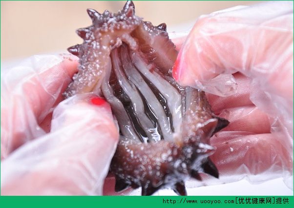 14岁孩子能吃海参吗？14岁吃海参好吗？(2)