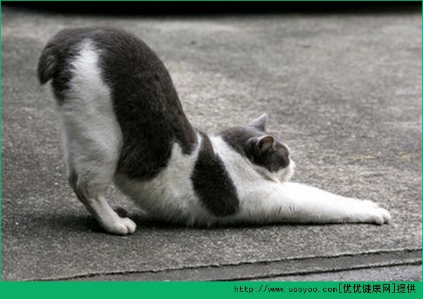 睡前减肥法  睡前减肥小妙招  睡前减肥瘦身方法(2)