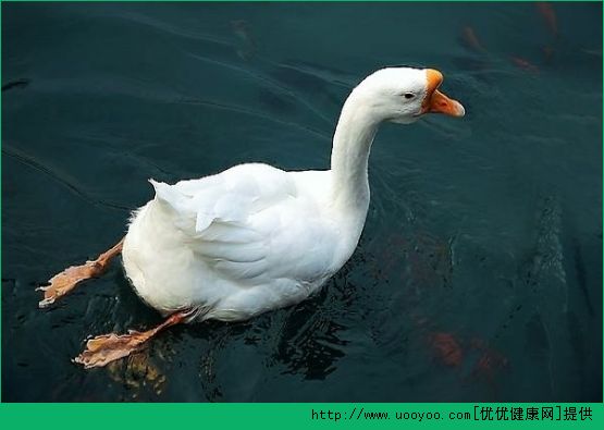 胡萝卜怎么做好吃？胡萝卜的做法大全(4)