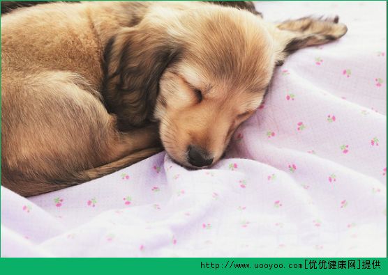 胡萝卜怎么做好吃？胡萝卜的做法大全(3)