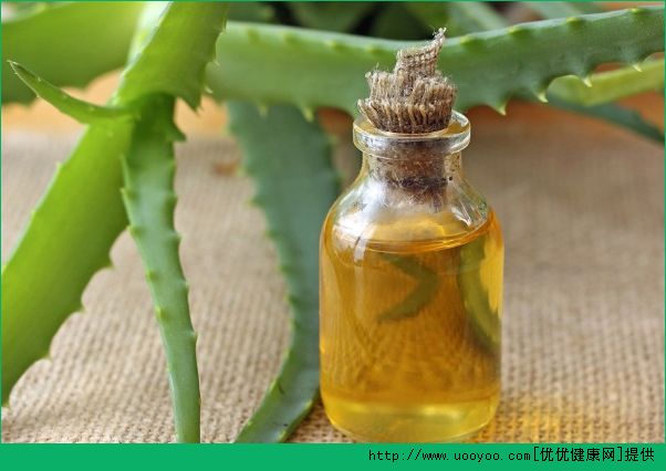 怎么用芦荟洗头发？芦荟的护发功效与作用(2)