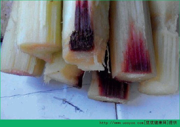 甘蔗变黑能吃吗？甘蔗变黑吃了怎么办？(3)