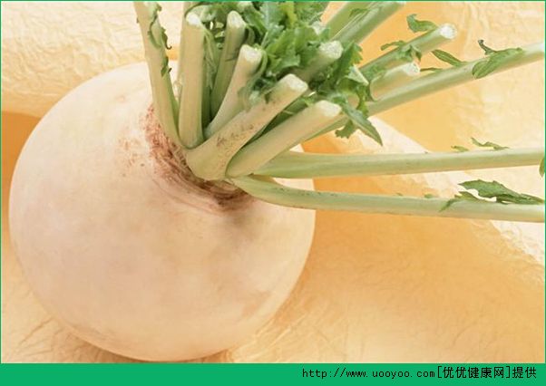 口腔溃疡吃什么好？口腔溃疡吃什么菜比较好？(4)
