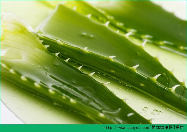 晒后可以用芦荟胶吗？晒后用芦荟胶有用吗？(2)
