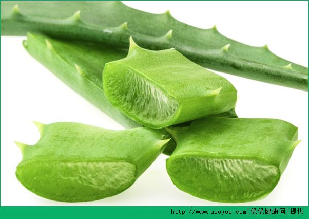 芦荟可以保湿吗？怎么用芦荟来补水呢？(4)