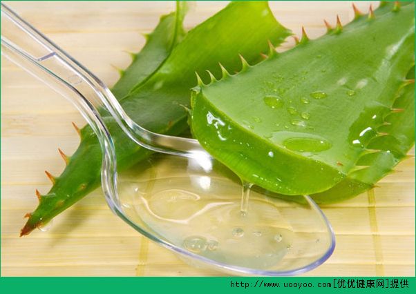 芦荟可以保湿吗？怎么用芦荟来补水呢？(3)