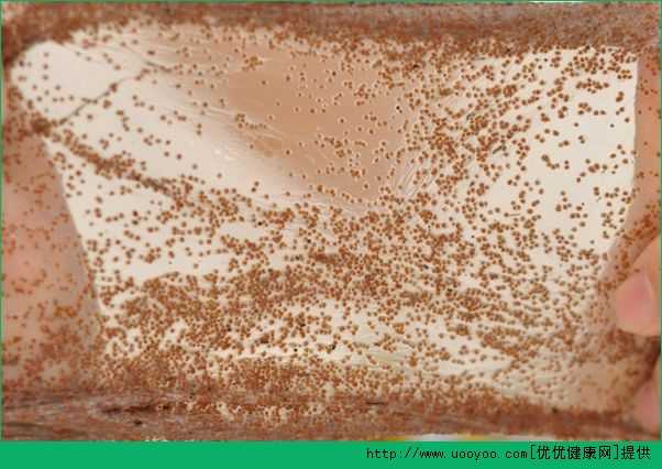 海藻能补水吗？海藻面膜保湿效果好吗？(4)