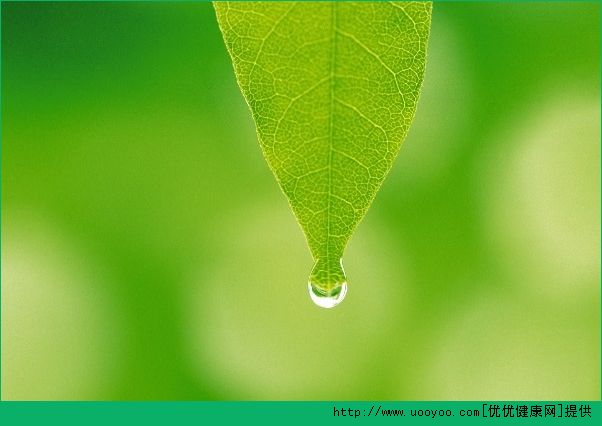 脸出油怎么办？脸上出油怎么办？(4)