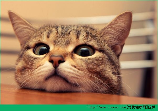 脸出油怎么办？脸上出油怎么办？(3)