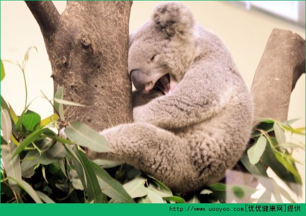 脸上老出油怎么办？脸上出油厉害怎么办？(3)