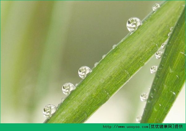 怎样让脸上不出油？脸上出油有什么妙招？(4)