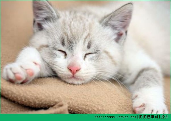 脸上出油长痘怎么办？脸部出油长痘怎么办？(5)