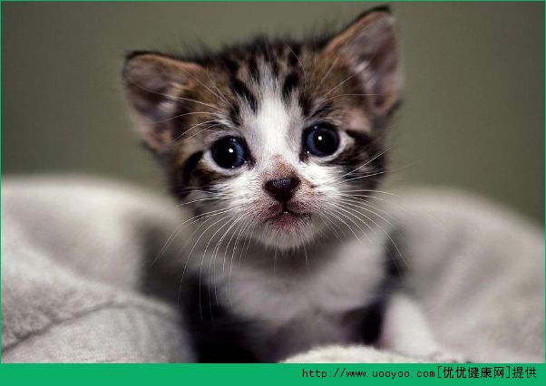 皮肤出油怎么办？皮肤出油怎么改善？(1)