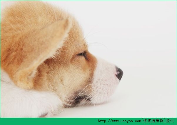 脸上老是出油怎么办？脸上出油怎么调理？(3)