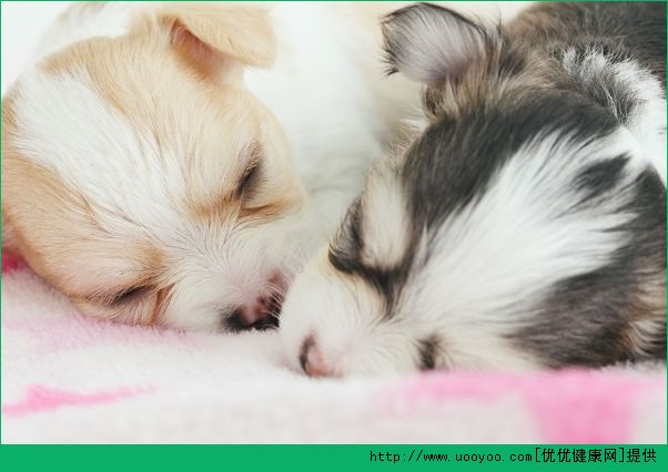 皮肤出油怎么办？皮肤出油怎么改善？(3)