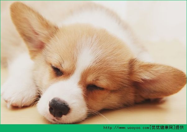 脸老是出油怎么办？脸爱出油怎么调理？(2)