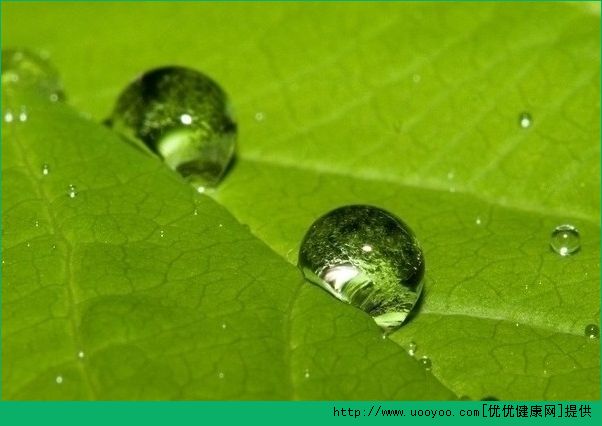 鼻子出油严重怎么办？鼻子出油多怎么改善？(3)