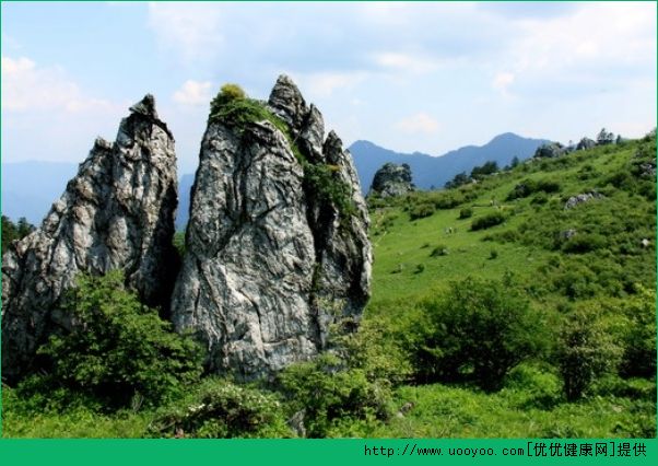 夏天旅游去哪好？夏天适合去哪里旅行？[多图]