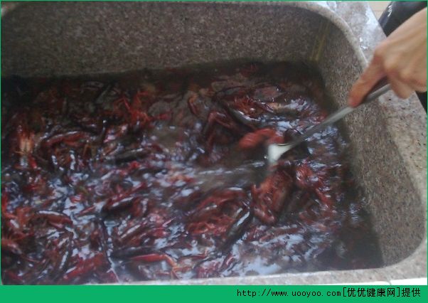 洗龙虾怎么洗法？龙虾怎么清洗最干净？(2)