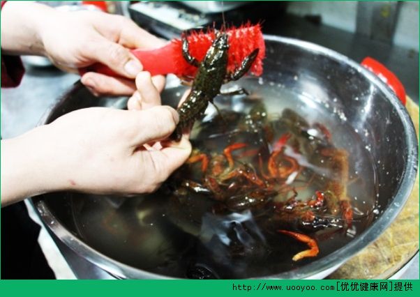 洗龙虾怎么洗法？龙虾怎么清洗最干净？[多图]