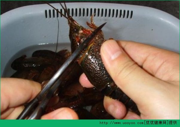洗龙虾怎么洗法？龙虾怎么清洗最干净？(3)