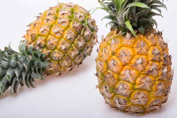 怎么看菠萝好不好？怎么看菠萝的好坏？(3)