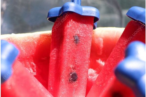 自制雪糕的做法大全 DIY冰淇淋的做法大全(4)