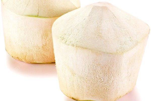 椰青是椰子吗？椰子和椰青的区别[多图]