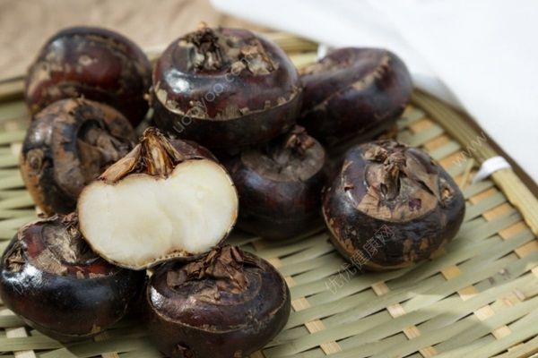 荸荠是马蹄莲吗？荸荠和马蹄莲一样吗？[多图]