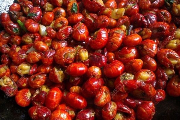 怎么杀龙虾？龙虾怎么杀？(2)