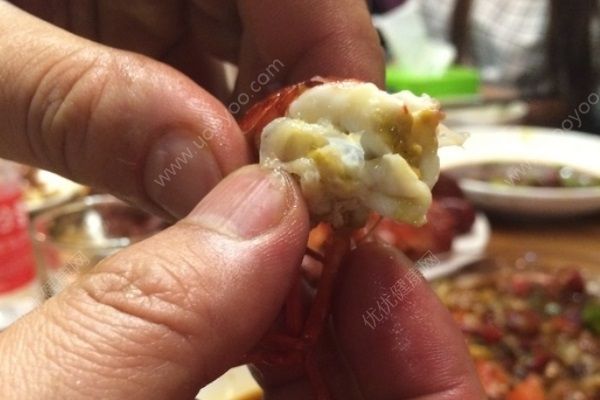 小龙虾怎么吃？吃龙虾要注意什么？(4)