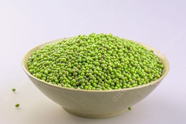 宝宝能吃绿豆吗？宝宝能喝绿豆汤吗？(4)