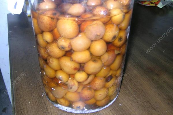 枇杷泡酒的功效与作用 枇杷泡酒的制作方法(3)
