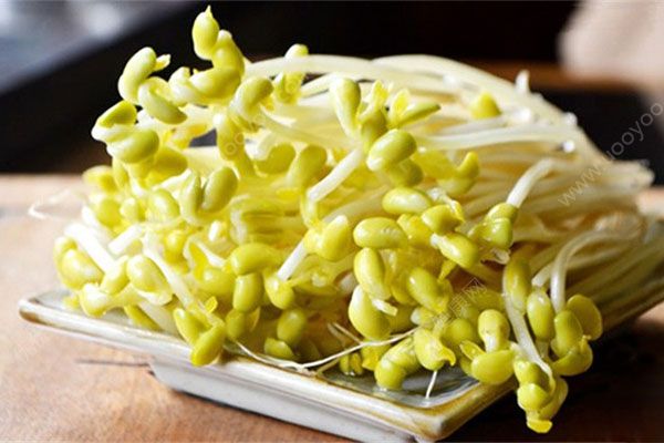 韩国豆芽汤怎么做？韩式豆芽汤的做法(4)