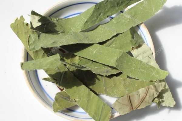 女生夏天喝什么茶最好？女生夏天适合喝什么茶？(4)