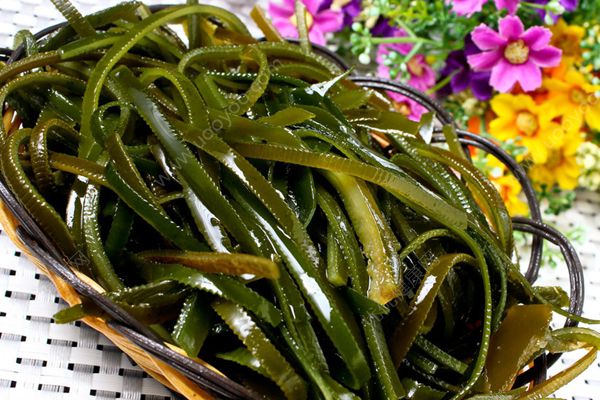 绿豆和海带能一起吃吗？海带和绿豆同食好吗？(2)