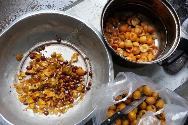 枇杷果核能吃吗？枇杷果核的功效与作用[多图]