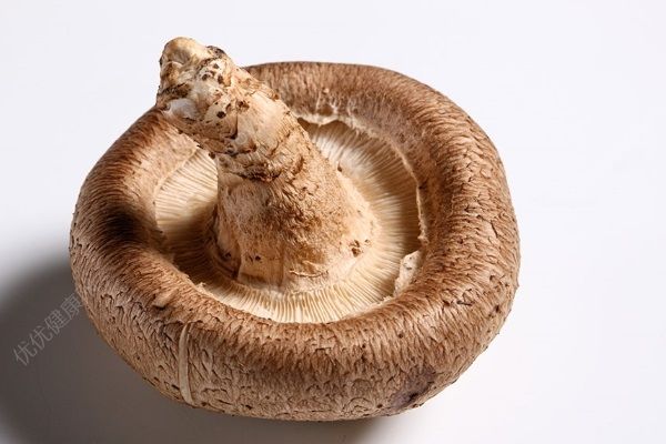 茄子和香菇能一起吃吗？茄子和香菇能一起炒吗？(3)