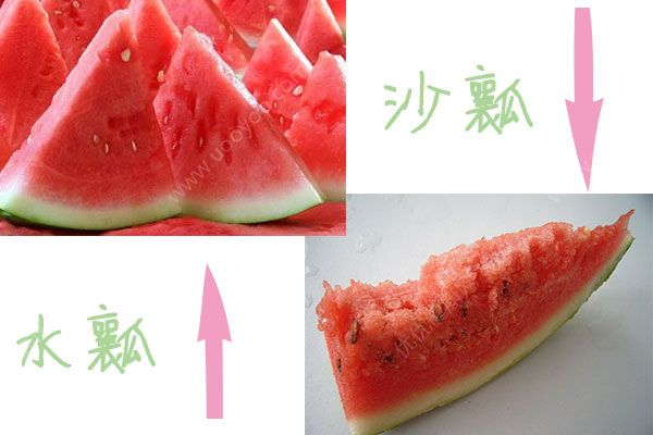如何挑选西瓜？挑选西瓜的方法(3)