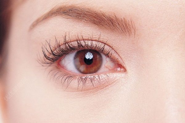 为什么睫毛膏会晕染？为什么睫毛膏老是蹭到眼皮上？(4)
