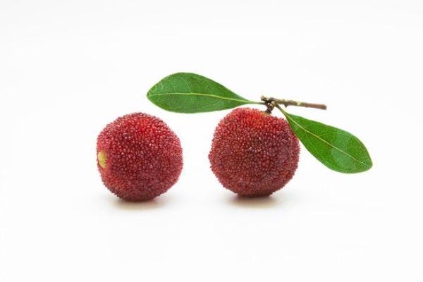 吃杨梅能喝茶吗？吃杨梅喝茶好吗？[多图]