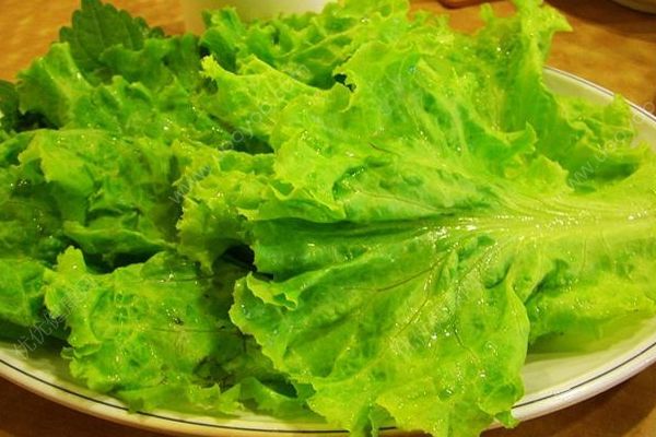 生菜和什么相克？生菜和什么一起吃好？(2)
