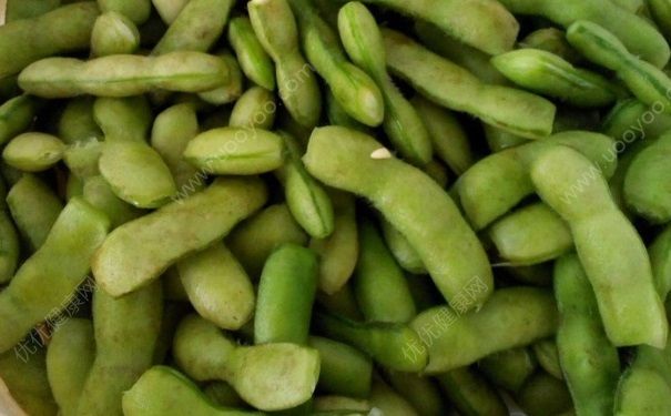 凉拌毛豆怎么做好吃？凉拌毛豆的做法(4)
