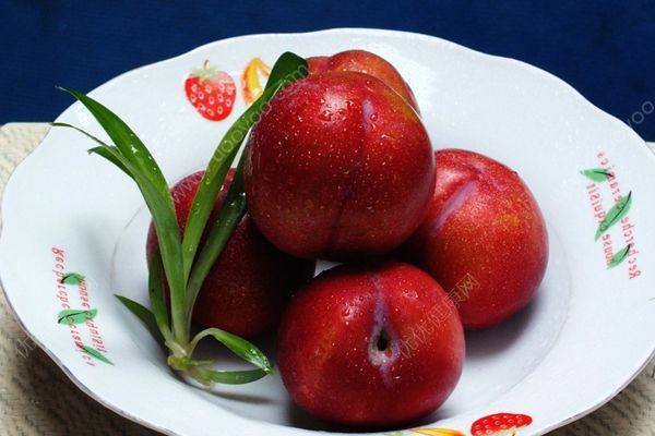 宝宝吃李子好吗？宝宝可以吃李子吗？(2)