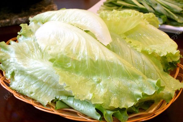 孕妇可以吃生菜吗？孕妇能吃生菜吗？(2)