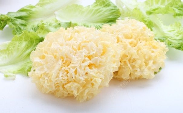 女生吃什么补气血？女生补气血吃什么？(3)