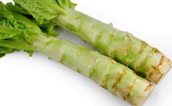 莴笋和莴苣一样吗？莴笋和莴苣的区别(3)